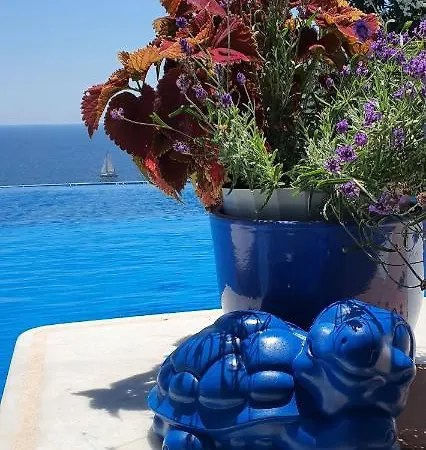 Villa Al Lado Del Mar Tortuga 12 *