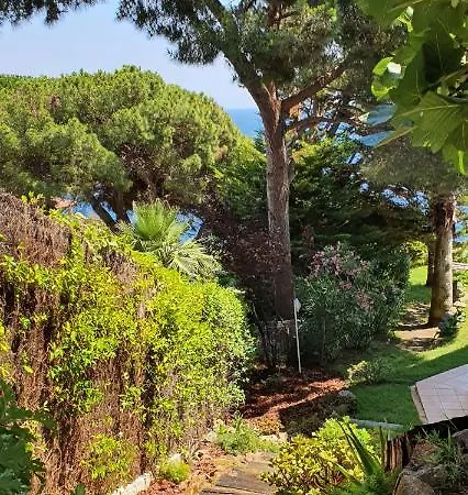 Al Lado Del Mar Tortuga 12 Lloret de Mar