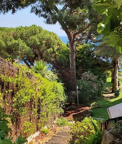 Al Lado Del Mar 